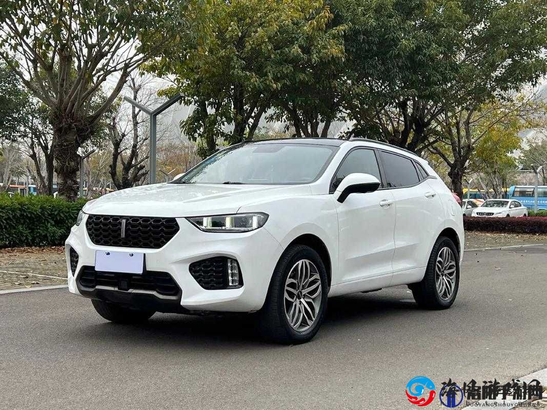 wey vv5 国产 SUV 强劲性能与时尚外观